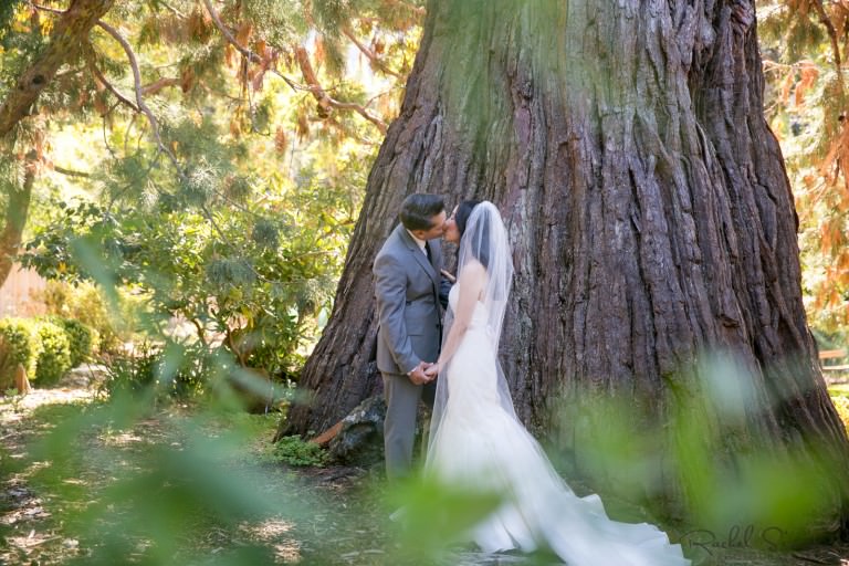 Jane and David | Marin Art and Garden Center Wedding | Ross, CA | May 4, 2014