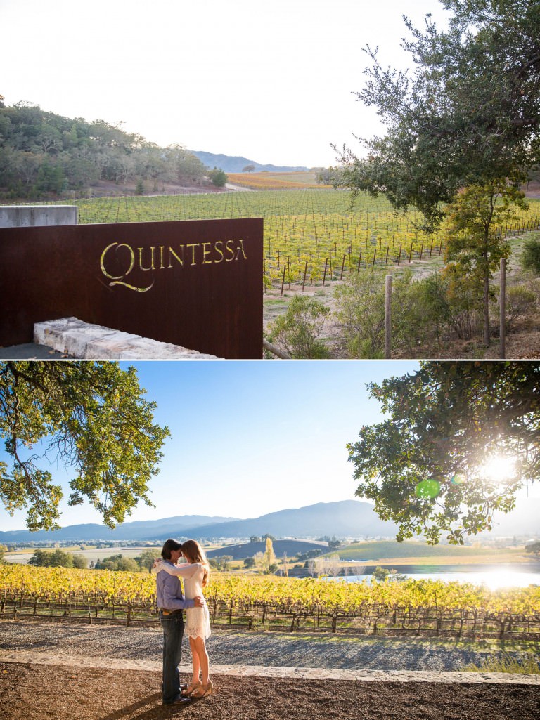 Kimberly and Jeremy | Quintessa Winery| Yountville Downtown