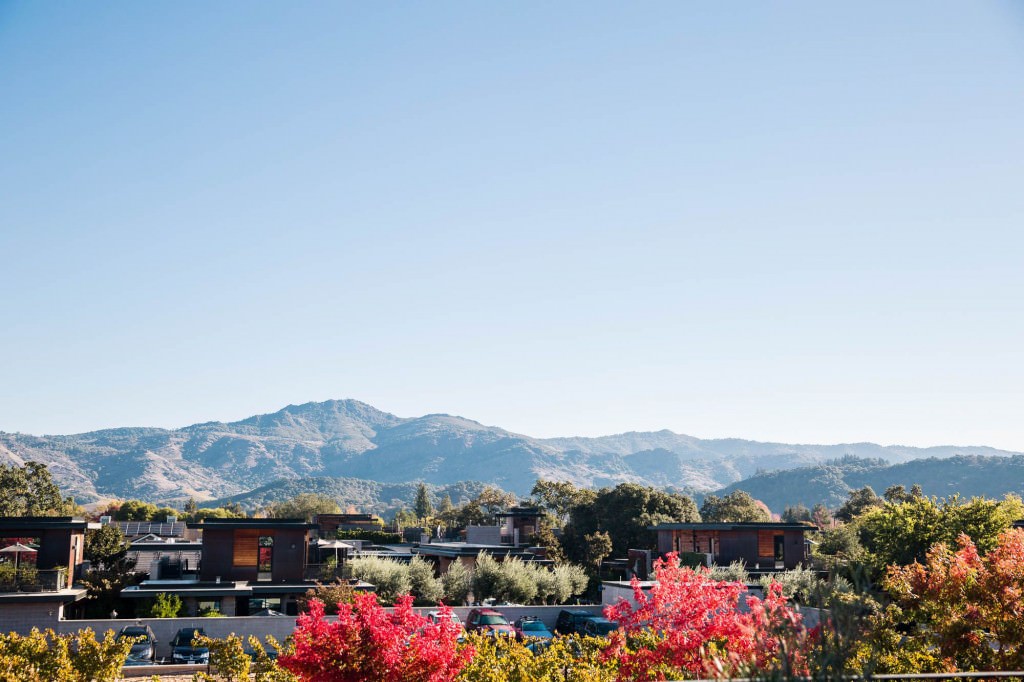 Rachel-Simpson-Photography-honeymoon-yountville-mountains-view