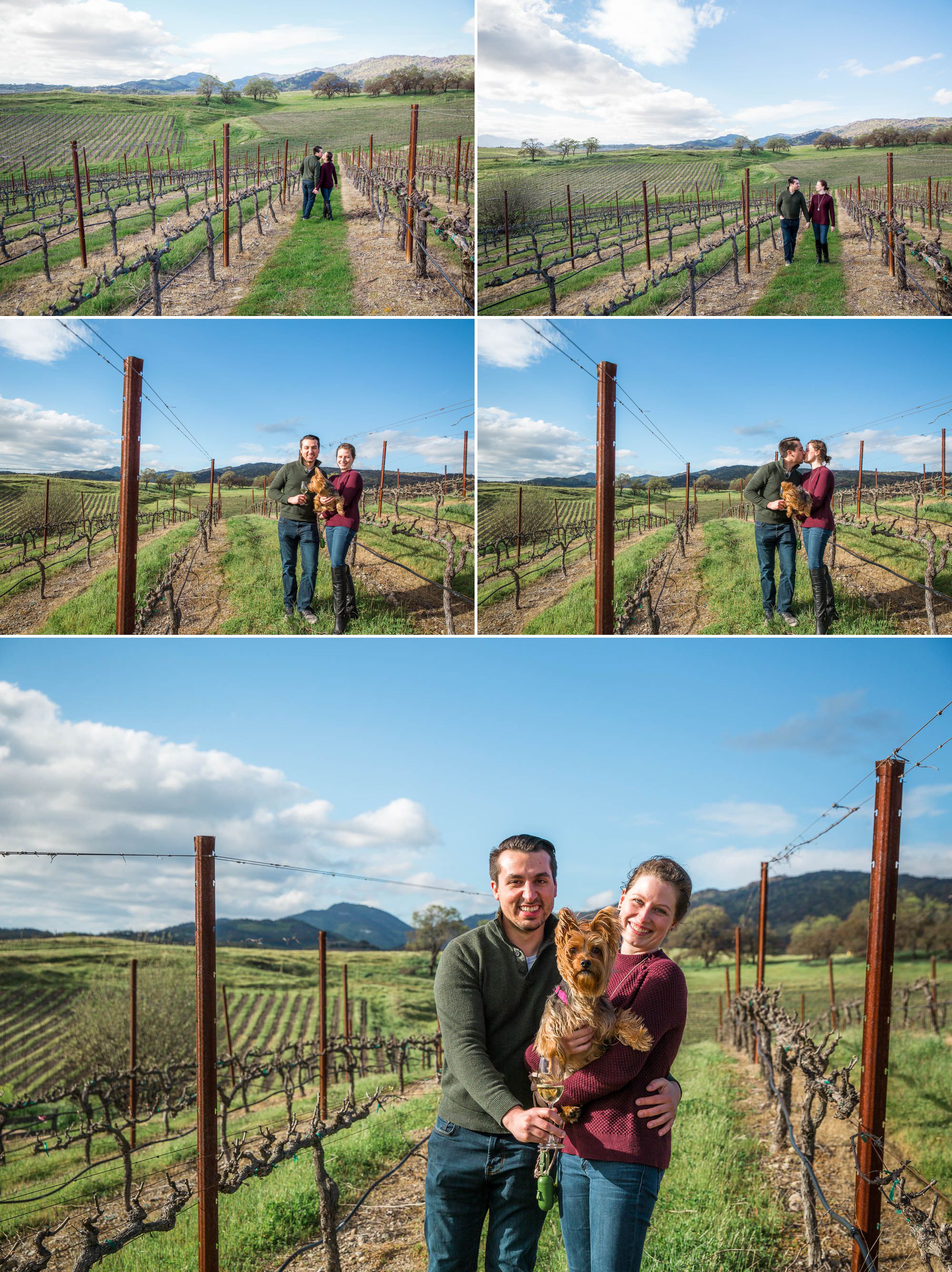 romance between the winter vines and a family photo with their terrier