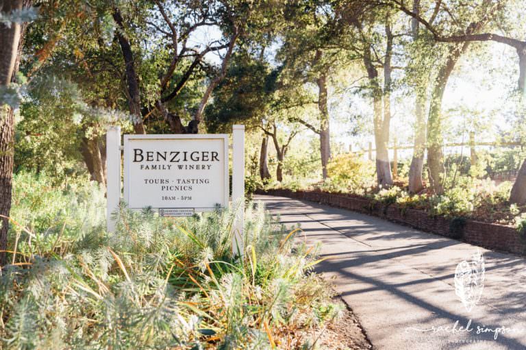 Jack London Park | Benziger Winery Wedding